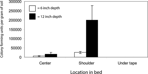 Figure 1. The effect of bed fumigation with a 60:40 mix of chloropicrin:telone applied through drip-lines on viability of Fusarium oxysporum f. sp. fragariae at various locations within the bed. Values represent means of four replications and error bars correspond to 2× the standard error of the mean.