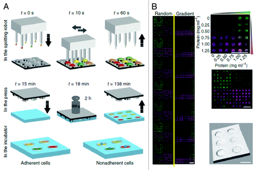 Figure 2. The Printer set-up is illustrated. It consists of a gold-coated nozzle located above a substrate that rests on a grounded electrode. The substrate/electrode combination is mounted on a 5-axis stage for printing (Courtesy: Park et al., 2007).Citation14