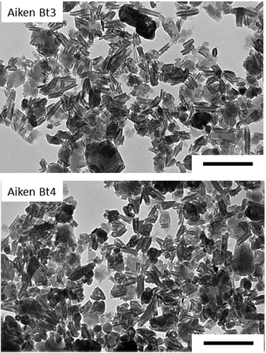 Figure 5. Transmission electron micrographs of the citrate-dithionite-treated clay fractions of Aiken Bt3 and Aiken Bt4 soils.