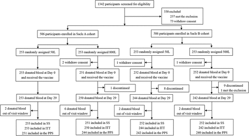 Figure 2. Trial profile. The Safety Set (SS) included all participants who received the vaccine with different scale and participated in safety follow-up. The intention-to-treat (ITT) cohort included all randomized participants who received the vaccination and had at least one antibody available. The primary immunogenicity analysis was performed on the per-protocol sets (PPS), including all participants in the immunogenicity subset who received one dose of vaccine and who had available serological test results at baseline, day 29, and at least one later time point.