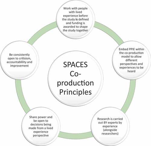 Figure 2. The co-production principles used on SPACES.