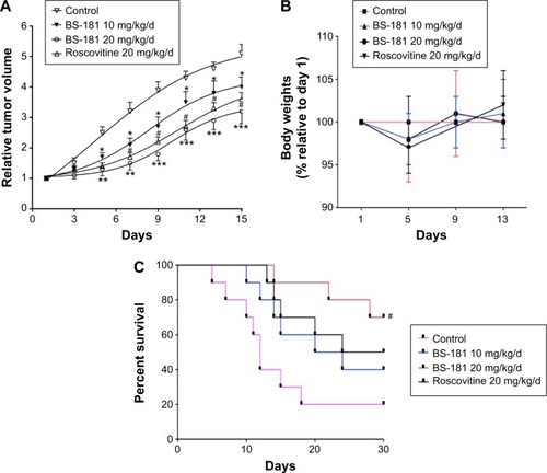 Figure 5 BS-181-inhibited gastric cancer growth in vivo and increased survival rate.