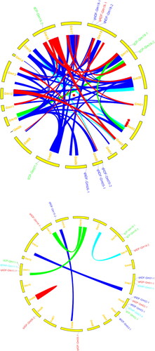 Figure 3. Additive and epstatic QTL identified in RIL3613 (above) and RIL6013 (bottom) populations.Green colour represents protein content QTL; Red colour represents ADF QTL; Mazarine colour represents NDF QTL; Bluish colour represents DWP QTL