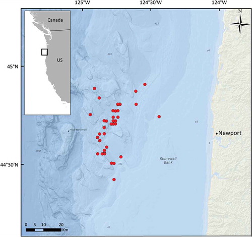 FIGURE 2. Map of the area off the Oregon coast where sea trials were conducted to compare size selectivity of T90-mesh and diamond-mesh cod ends. Bottom trawl tow locations are depicted by the red circles.