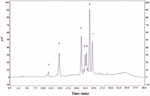 Figure 2. HPLC profile of flavonoids (λ = 360 nm) from cactus (Opuntia ficus-indica) cladodes (CCE). Four known flavonoids identified in CCE: rutin (2), isorhamnetin (3), quercetin (6), kampferol (7). The HPLC separation of the active compounds was carried out on C-18 reverse phase HPLC column (Zorbax, 250 mm ×4.6 mm, particle size 5 μm) on an elution gradient at 25 °C. The mobile phase consisted of water:acetic acid (98:2 v/v) (A) and water:acetonitrile:acetic acid (58:40:2 v/v/v) (B). The elution gradient used was: 0–80% B for 25 min, 80–100% B for 10 min and 100–0% B for 5 min. The flow rate was 0.9 mL/min and the injection volume was 20 μL.