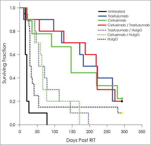 Figure 5. Targeting of multiple antigens to augment efficacy of 212Pb RIT. Kaplan-Meier survival curves of mice (n = 10) bearing i.p. LS-174T tumor xenografts were co-injected i.p. with 5 μCi each of 212Pb-cetuximab and 212Pb-trastuzumab. These were compared to groups injected with the combination of 212Pb-cetuximab / 212Pb-HuIgG and 212Pb-trastuzumab / 212Pb-HuIgG. Additional groups of mice included untreated, 212Pb-cetuximab, 212Pb-trastuzumab and 212Pb-HuIgG. A total of 10 μCi 212Pb was administered to each mouse.