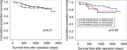 Figure 2 Kaplan-Meier curves for the disease-free survival: (A) comparison of triple negative (dotted line) versus any mutation status (solid line); and (B) comparison of each of the mutations: EGFR, KRAS, and ALK.Abbreviations: ALK, anaplastic lymphoma kinase; EGFR, epidermal growth factor receptor; KRAS, kirsten ras genes.