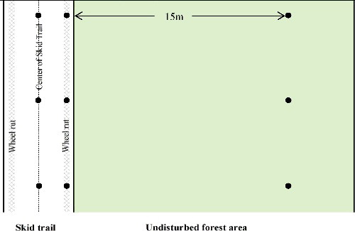 Figure 1. Schematic of sampling locations at the study site.