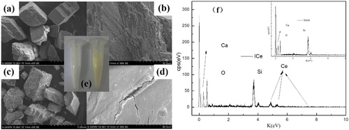 Figure 1. SEM (a, b, c, d), phone(e) images, EDS(f) of sand and ICe.