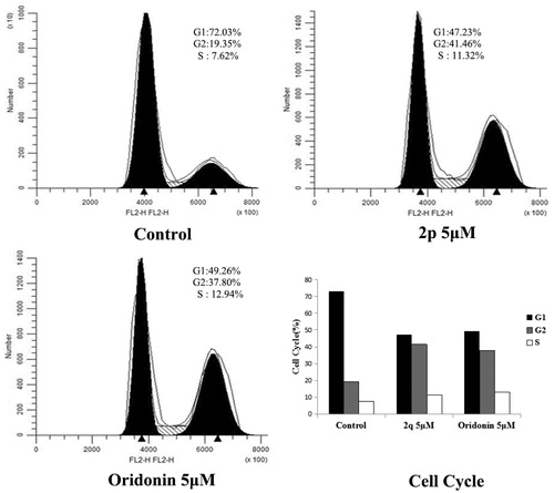 Figure 2. Flow cytometry analyses of cell cycle distribution of HCT116 cancer cell after treatment of compound 2p (5.00 μM), oridonin (5.00 μM) and no treatment (Ctrl) as a reference control for 48 h.