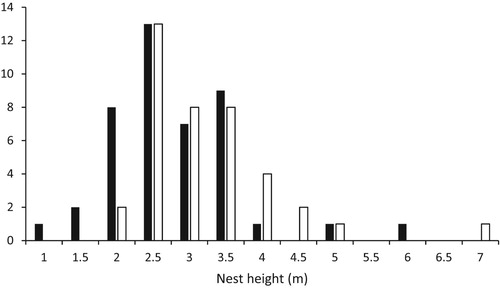 Figure 1. The frequency distribution of Syrian Woodpecker cavity heights. Solid bars, nests in trunks (n = 43); open bars, nests in limbs (n = 39).