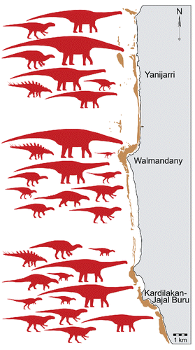 FIGURE 65. Diversity of dinosaurian ichnospecies/track morphotypes specific to the Kardilakan–Jajal Buru, Walmadany, and Yanijarri sections of the Dampier Peninsula, Western Australia. Silhouettes denote inferred trackmaker ichnotaxa, of which there are 13 different types at Kardilakan–Jajal Buru, 11 at Walmandany, and eight at Yanijarri. See legend in figure 66 for trackmaker size categories.