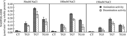 Figure 9. Aminating (black bars) and deaminating (white bars) activities of NADP (H)–GDH in the shoot were measured in control (CT) and transgenic (TG5, TG7, and TG10) lines after 1 week treatment under different salt stress conditions. Data represent the mean values ± SD (n = 3). Statistical analysis of the data was performed by one-way ANOVA.