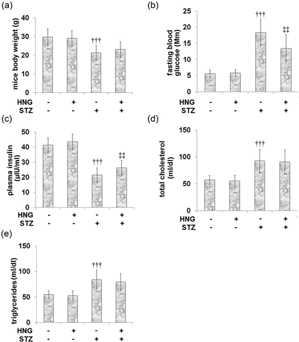 Figure 1. Protective effects of S14G-humanin in basic parameters of diabetic mice. (a) mice body weight; (b) Fasting blood glucose; (c) plasma insulin; (d) Total cholesterol; (e) Triglycerides (†††, P < 0.005 vs. vehicle group; ‡‡, P < 0.01 vs. STZ group)