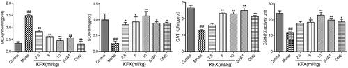 Figure 3. The effect of KFX pre-treatment on MDA, SOD, CAT, GSH-Px activities in the gastric tissues of WIRS-induced rat ulcer model. The data were expressed as the means ± SD (n = 5). ##p < 0.01, compared with the control group; *p < 0.05, **p < 0.01 compared with the model group. KFX: Kangfuxin liquid; SJWT: Sanjiuweitai Granules; OME: Omeprazole.