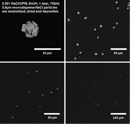 Figure 10. SEM of NaCl particles generated by FMAG.