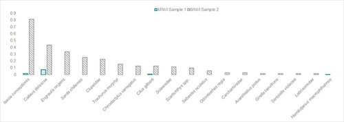 Figure 4. Taxa distribution (MNI/l) in Samples 1 and 2.