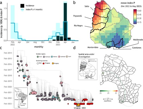 Figure 1. Eco-epidemiological assessment and temporal trend of CHIKV transmission in Uruguay. (a) Time series of reported CHIKV cases (black, bars) and estimated climate-driven transmission potential (index P, blue, lines show the mean and shaded area the 95% quantile). The index P is shifted +1 month into the future (the index tends to precede cases, see [Citation5]. (b) Map with mean index P at resolution available in climate data. Official departments are shown, highlighted (black and named) are those for which new genomes were generated. (c) Time-resolved maximum likelihood tree including the newly complete genome sequence from Uruguay (n = 30) generated in this study combined with publicly available sequences (n = 819) from GenBank collected up to July 20th, 2023. Colours indicate geographic location of sampling. Support for branching structure is shown by bootstrap values at key nodes. The inset on the left represents a map of South America, with highlighted South American countries bordering Uruguay (Brazil, Paraguay, and Argentina); (d) Spatiotemporal reconstruction of the spread of CHIKV-ECSA in Uruguay. Circles represent nodes of the maximum clade credibility phylogeny, coloured according to their inferred time of occurrence (scale shown). Shaded areas represent the 80% highest posterior density interval and depict the uncertainty of the phylogeographic estimates for each node. Solid curved lines denote the links between nodes and the directionality of movement. Curved lines denote the direction of transmission in the anti-clockwise direction.