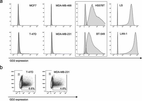 Figure 2. GD2 expression on breast cancer cell lines. GD2 expression on indicated breast cancer cell lines was determined by flow cytometry using an APC-labeled GD2 mAb. In a), representative histograms of three individual analyses are shown. GD2 positivity was calculated by Overton subtraction of histograms, sample data minus corresponding isotype control. In b), representative plots SSC vs. GD2 expression of three individual analyses are shown to illustrate GD2 expression in a subpopulation of cells in the cell lines T-47D and MDA-MB-231