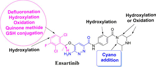 Figure 9 Chemical structure of ensartinib displaying various metabolic phase I pathways and the proposed bioactive sites.