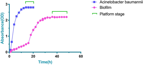 Figure 1 Growth and biofilm formation of BP-AB assessed by curve analysis.