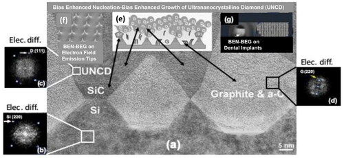 Figure 7. (a) Cross-section HRTEM image of a BEN-BEG grown UNCD film on Si (100); (b) electron diffraction on the Si substrate, showing the diffraction points characteristic of Si; (c) electron diffraction on the UNCD film, showing the diffraction points characteristic of diamond; (d)) electron diffraction on the graphitic structured film area, showing the diffraction points characteristic of graphite; (e) schematic representing the mechanism of BEN-BEG growth for UNCD films; (f) SEM image of UNCD films grown by the BEN-BEG process on sharp Si tips for electron field emission devices; (g) UNCD films grown by BEN-BEG on many commercial Ti-alloy dental implants, showing the feasibility of using BEN-BEG as a much lower cost process to produce UNCD-coated implantable prostheses, eliminating the added cost process of chemical seeding described in Section 2.1. (Reprinted from J. App. Phys., vol. 105, 034311, 2009 (Figure 2 (b)) in [Citation25] with permission from AIP Publisher).