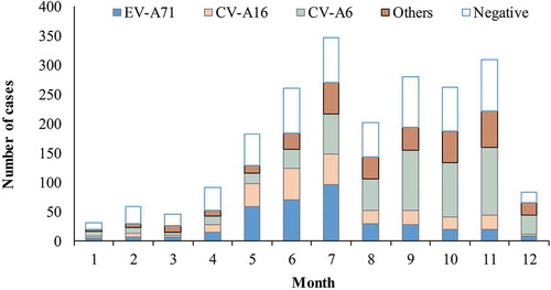 Figure 2. Monthly number of the cases testing negative and positive for enterovirus by serotype.Note: EV-A71: enterovirus A71. CV-A16: coxsackievirus A16. CV-A6: coxsackievirus A6. Others: otherenterovirus than EV-A71, CV-A16 and CV-A6. Negative: negative for all enteroviruses.