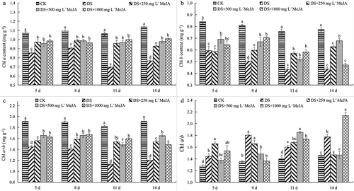 Figure 2. Effect of MeJA on the content of Chl a, Chl b, Chl (a + b) and Chl a/b of Huangguogan leaves during drought.