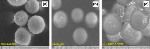 Figure 5. Scanning electron micrograph of (a) core, (b) core-coated poly(GMA) and (c) core–shell polymer (500×).