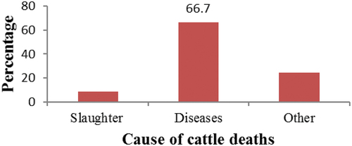 Figure 3. Percentage distribution of the farmers’ responses on cause of cattle deaths (n = 50).