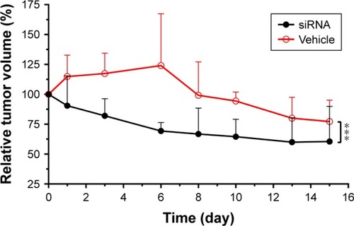 Figure 5 The effect of “17β-HSD1-siRNA/LPD” on tumor growth in vivo when the supplementation of E1 was continued.