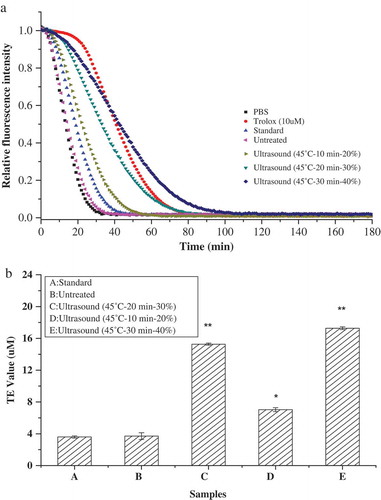 Figure 5. The decay curve and oxygen radical absorbance capacity of inhibition on fluorescence by ultrasound-treated β-Lactoglobulin. (a) Decay curve of β-Lactoglobulin, (b) oxygen radical absorbance capacity of β-Lactoglobulin.Figura 5. Curva de decaimiento y capacidad de absorción de radicales de oxígeno de inhibición en fluorescencia por la β-lactoglobulina con tratamiento de ultrasonido. (a) Curva de decaimiento de la β-lactoglobulina, (b) Capacidad de absorción de radicales de oxígeno (CARO) de la β-lactoglobulina.