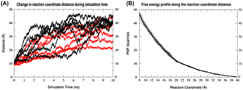 Figure 2. (A) The distance from the center of mass of phosphorus atoms of A1070 and A1073 to the center of mass of phosphorus atoms of U1094 and U1097, in GAC RNA simulations in absence of any ions, which is used as the reaction coordinate in all umbrella sampling simulations here. Each black line represents an independent copy of unrestrained simulation, while each red line represents an independent copy of simulations with positional restraints on 1092–1098 residues. (B) The PMF profile along the reaction coordinate described in (A) for partial unfolding of GAC RNA in the absence of any ions.