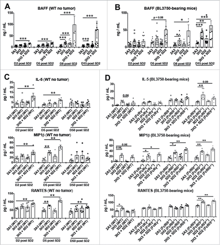 Figure 3. Treatment with αCD20 and αCD137 induces BAFF and cytokines in plasma with or without B lymphoma inoculation. Control Ig (2A3, 250 μg i.p.) or anti-CD20 (clone 5D2, 250 μg i.p.) was administered on day (D) 0, and anti-CD137 (clone 3H3, 100 μg i.p.) either alone or in combination on D1 in C57BL6 wild-type (WT) or gene-targeted mice. In some experiments (B, D), 1 × 105 BL3750 cells were injected intravenously on day (D) 0, and control Ig (2A3, 250 μg i.p.) or anti-CD20 (clone 5D2, 250 μg i.p.) was administered on day (D) 4, and anti-CD137 (clone 3H3, 100 μg i.p.) either alone or in combination on D5 in WT or gene-targeted mice. (A) and (B) BAFF assessment from plasma of mice at D2, D5, D8 and D15 post anti-CD20 treatment. Data is representative of two experiment, n = 5 each group (n = 10 total).