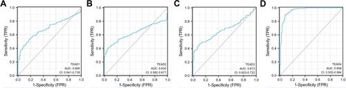 Figure 3 Evaluation of diagnostic value of TEAD family in OSC. (A–D) ROC curve analysis of TEAD family members for the diagnostic values of OSC patients.