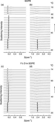 Figure 5.  Plots of successive SAXS (a) /WAXS (b) intensity profiles at 2° intervals versus reciprocal spacing as a function of temperature of a dispersion of SOPE recorded during temperature scans at 2°/min heating from 20–70°C. SAXS (c) /WAXS (d) intensity profiles recorded from a codispersion of 1 mol% dolichol C95 in SOPE during an identical heating scan from 20–74°C. Each diffraction pattern represents scattering accumulated in 5 seconds.