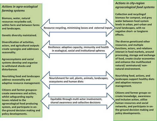 Figure 1. Characteristics of agro-ecological systems related to actions and how these characteristics can be spelled out and become visible in agricultural as well as in food systems, with particular emphasis on agroecological food systems in rural–urban landscapes.