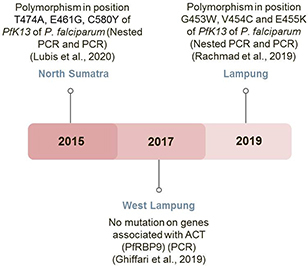 Figure 4 Identification of alleles mutant in PfK13 as an early warning sign for artemisinin resistance in Indonesia. The use of artemisinin combination therapy as a first-line antimalarial drug in Indonesia was summarized from 2015–2019. The polymorphisms of PfK13 serve as a warning sign of resistance toward this drug.