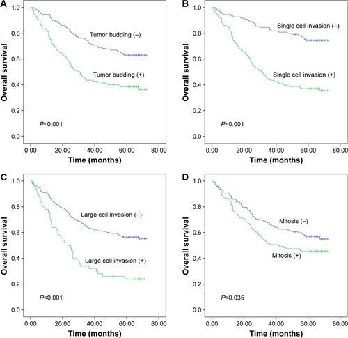 Figure 2 Overall survival (OS) figures pertaining to tumor budding (A), single cell invasion (B), large cell invasion (C), and mitotic count (D) in gastric adenocarcinoma.