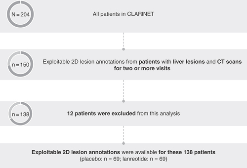 Figure 1. Eligible patients for the RAISE analysis.Patients enrolled in CLARINET with liver lesions and CT scans for multiple visits were selected for the RAISE analysis. 12 patients were excluded from this analysis during the annotation process due to the lack of targets or readable examinations.CT: Computerized tomography.