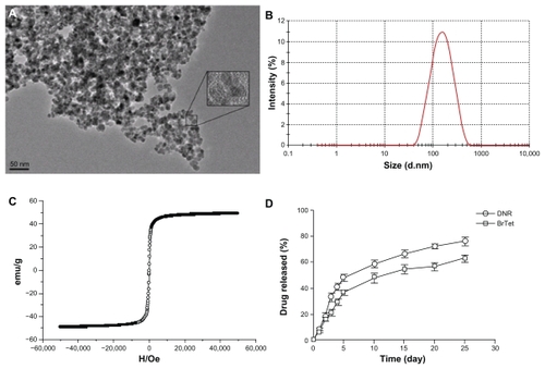 Figure 1 Physical characteristic of drug-loaded magnetic nanoparticles. (A) The nanoparticles under the transmission electron microscope. (B) Hydrodynamic particle size distribution of DNR/BrTet-loaded MNPs by Malvern Zetasizer Nano ZS90 (Malvern Instruments, Worcestershire, UK). (C) Magnetizaion as a function of field drug-loaded iron oxide nanoparticles by a vibration sample magnetometer. (D) Release of DNR and BrTet from MNPs under in-vitro conditions.Abbreviations: DNR, daunorubicin; BrTet, 5-bromotetrandrin; MNP, magnetic nanoparticle.