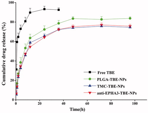 Figure 1. In vitro TBE release profiles of free TBE, P-TBE-NPs, T/P-TBE-NPs, and anti-EPHA3-T/P-TBE-NPs.