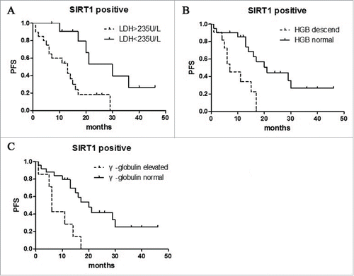 Figure 6. Survival analysis about SIRT1 positive cases. Increased serum LDH (A), decreased HGB (B) and increased γ-Globulin (C) were significantly associated with worse survival. (p = 0.0023, p = 0.0020, p = 0.0015 respectively).