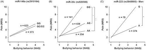 Figure 3. The relationship between NAQ and pain intensity (NRS). Subjects were divided into groups based on (A) miR-146a genotype: GG and GC/CC (used as reference), (B) miR-30c genotype: AA, AG and GG (used as reference) and (C) miR-223 genotype among men: A and G (used as reference). Age, tobacco use and education were included as covariates in all analyses, and sex was included as covariate in (A) and (B).