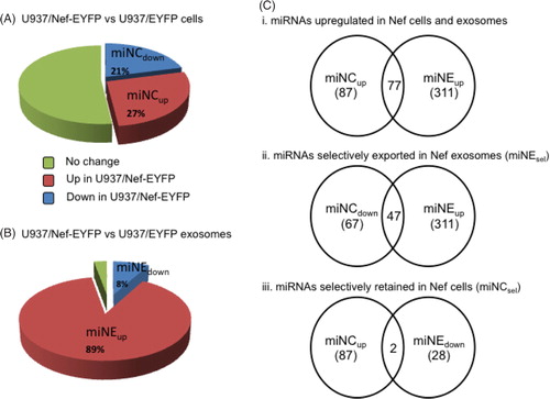 Fig. 2 Nef expression modulates cellular and exosomal miRNAs profiles. The miRNAs in (A) cells and (B) exosomes were profiled and relative fold-changes calculated as described in Methods. (C) The Venn diagrams show the intersection of detected miRNAs as follows: (i) Upregulated miRNAs in both U937/Nef-EYFP cells and exosomes; (ii) Downregulated miRNAs in U937/Nef-EYFP cells and upregulated miRNAs in U937/Nef-EYFP exosomes; (iii) Upregulated miRNAs in U937/Nef-EYFP cells and downregulated miRNAs in U937/Nef-EYFP exosomes.