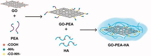 Figure 1. Diagram of the synthesis of GO–PEA–HA/Que.