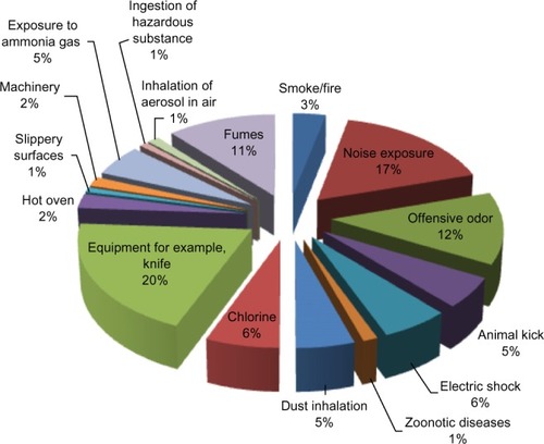 Figure 1 Occupational hazards identified at workplace.