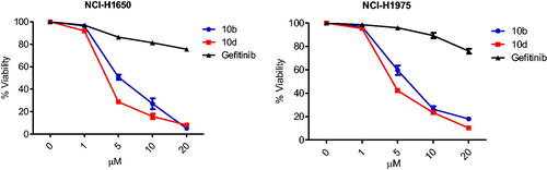 Figure 4. Effect of thiazolyl-pyrazoline derivatives on EGFR mutated NSCLC cell lines; dose–response curves for 10b and 10d in comparison with gefitinib control. The percentage of viable cells is shown relative to that of untreated control cells. Data were presented as means ± standard error mean (SEM) of three independent experiments.