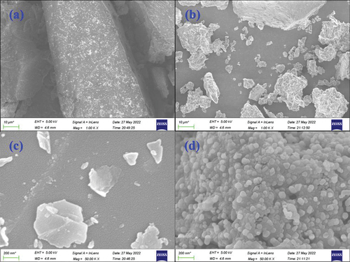 Figure 3. SEM images of potassium feldspar (a and c) and GXK900 (b and d).