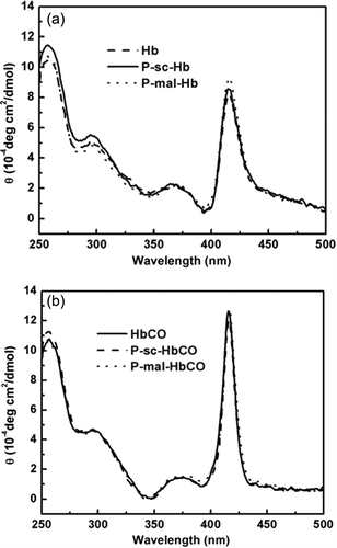 Figure 4. CD spectra of the Hb and HbCO samples. The spectra of the Hb (a) and HbCO samples (b) were recorded on a J-810 spectropolarimeter at room temperature. The molar ellipticity, θ, is expressed in deg cm2/dmol on a heme basis.